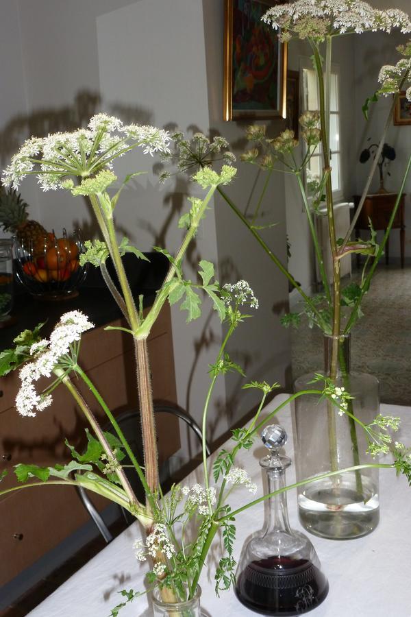 Bed & Breakfast Le Petit Matin